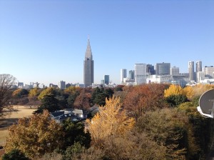 201312新宿御苑1